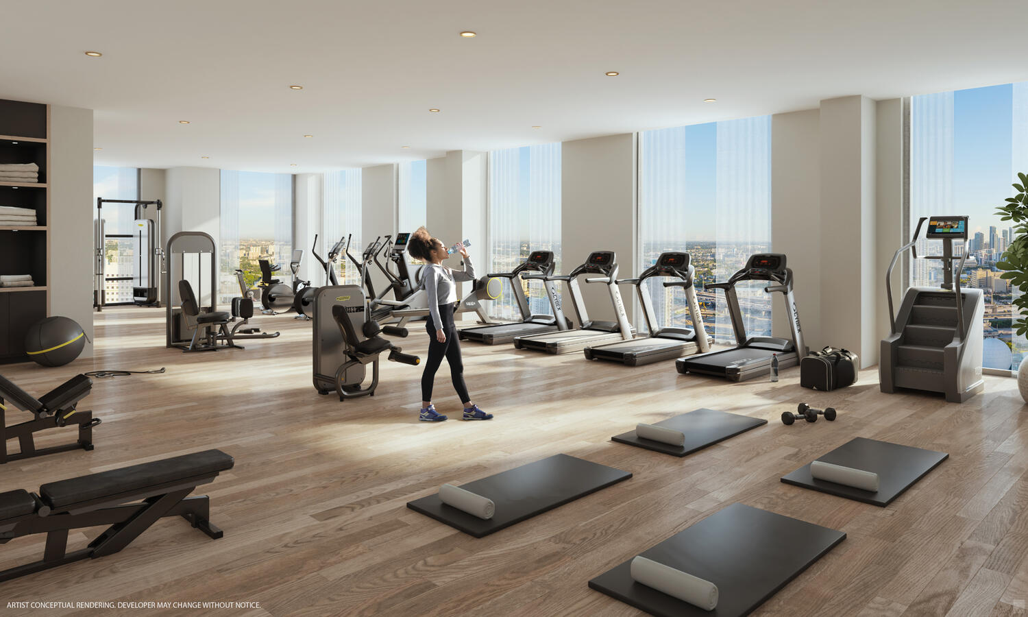 Gimnasio moderno